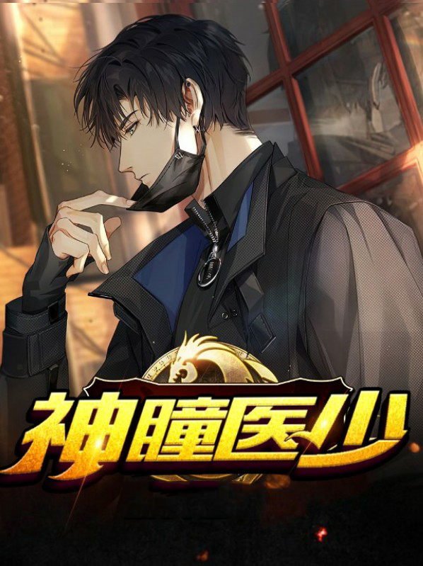 神瞳医少 小说