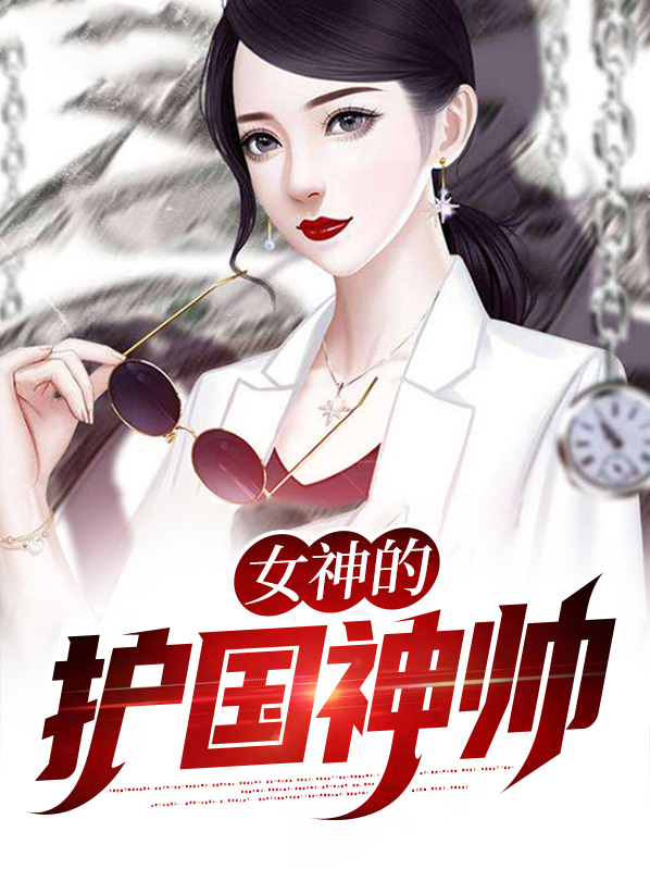 护国神帅小说
