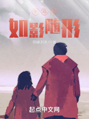 半岛之如影随形防盗