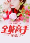 极品全能高手TXT