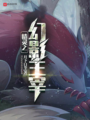 精灵之幻影主宰女主是谁