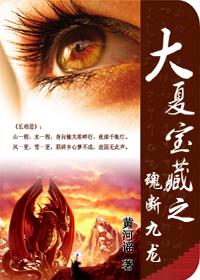 大夏宝藏之魂断九龙