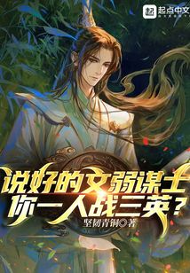 说好的文弱谋士,你一人战三英?小说