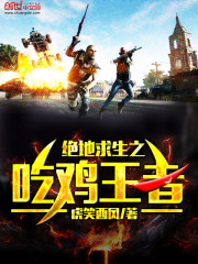 绝地求生吃鸡王者小说