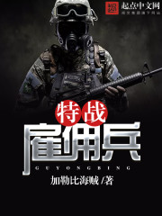 特战雇佣兵 小说