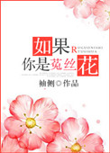 高干菟丝花重生