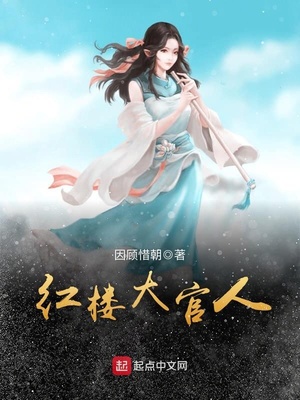 红楼大官人小说百度网盘