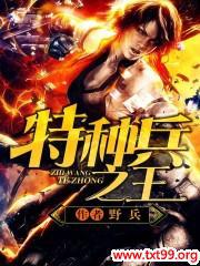 特种兵之王艳兵传奇