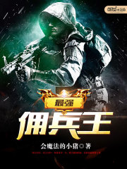 佣兵王小说