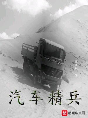 汽车精致