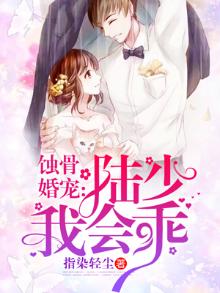蚀骨深宠,陆少的心尖冷妻