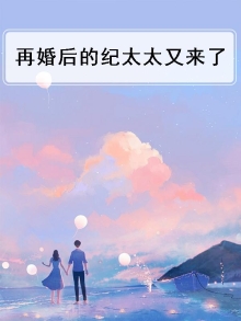 小说 再婚记