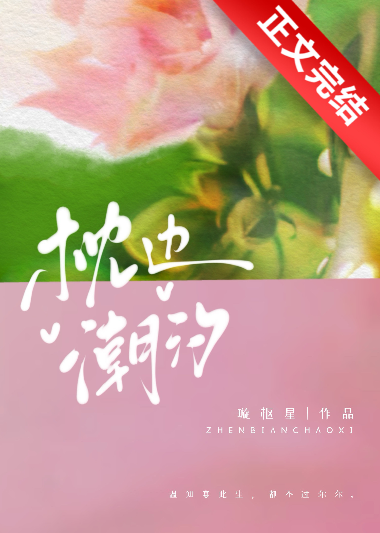 枕边潮汐小说璇枢星笔越阁