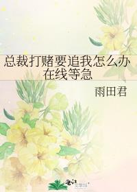 总裁打赌要追我怎么办在线等急txt