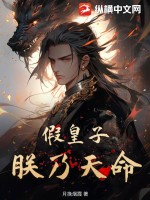假皇子在哪