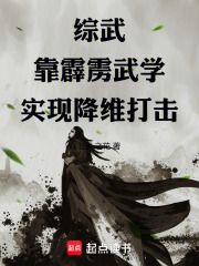 综武靠霹雳武学实现降维打击无防盗