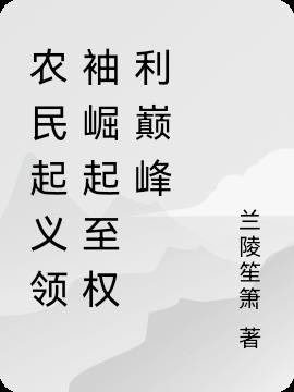 从农民开始的小说