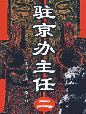 驻京办主任二 小说