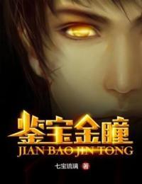 鉴宝金瞳陆宇小说