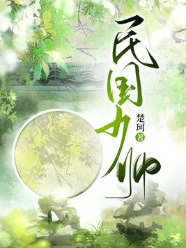 民国少帅与重生神医六小姐
