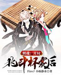棋魂:开局北斗杯赛后 百度网盘