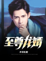 至尊龙婿叶辰全本免费