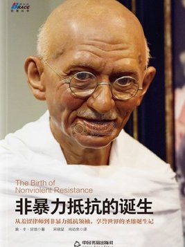 非暴力抵抗的诞生:南非非暴力抵抗运动史