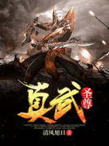 真武圣尊宁天宇段嫣然
