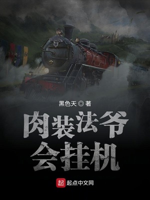 肉装法爷会挂机无弹窗