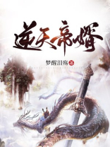 逆天帝婿 小说
