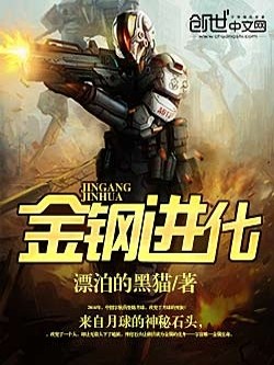 金钢进化TXT下载