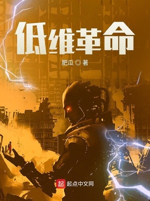 低维革命TXT下载