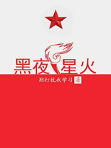 黑夜焰火