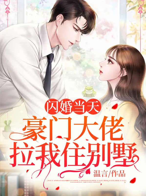 闪婚豪门engelchen
