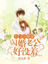 名门甜宠,闪婚老公太强势小说