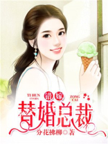 错嫁替婚总裁小说