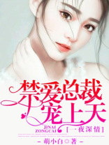 一夜深情:禁爱总裁宠上天第