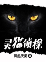 灵猫侦探藤萍完结了吗