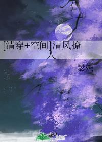 清穿 空间清风撩人