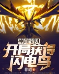 神奇宝贝：开局获得闪电鸟