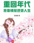 重回年代，我靠情报逆袭人生