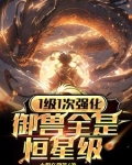 1级1次强化,御兽全是恒星级