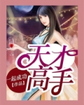 天才高手